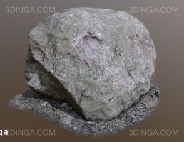 سنگ روی چوب کاج