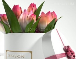 جعبه گل لاله کلاسیک