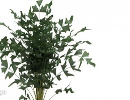 گلدان + گل های طبیعی