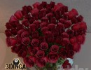 گلدان +گل رز