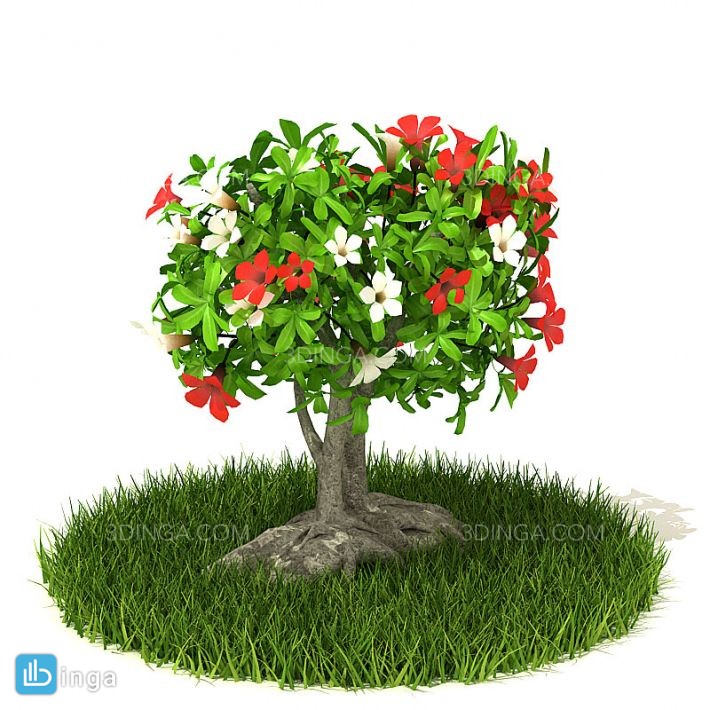 درختچه باغی بهاری