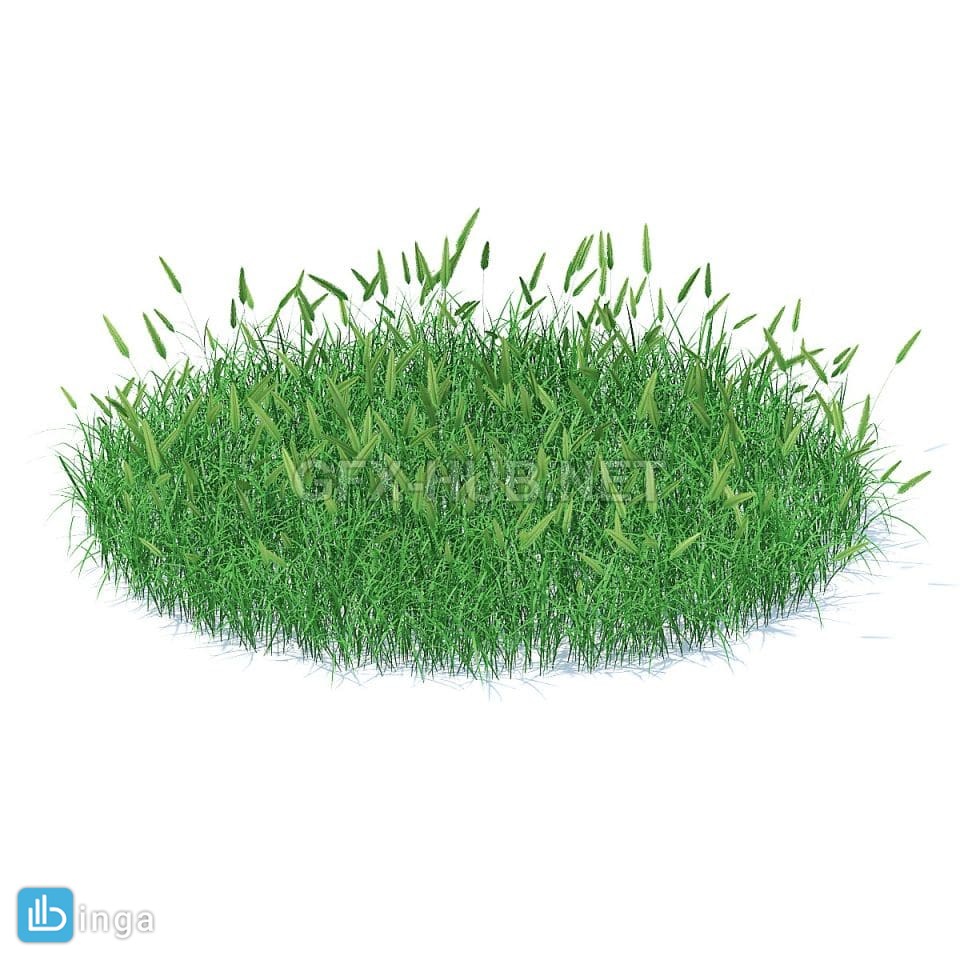 چمن + گیاهان وحشی