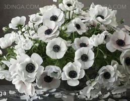 دسته گل شقایق در گلدان