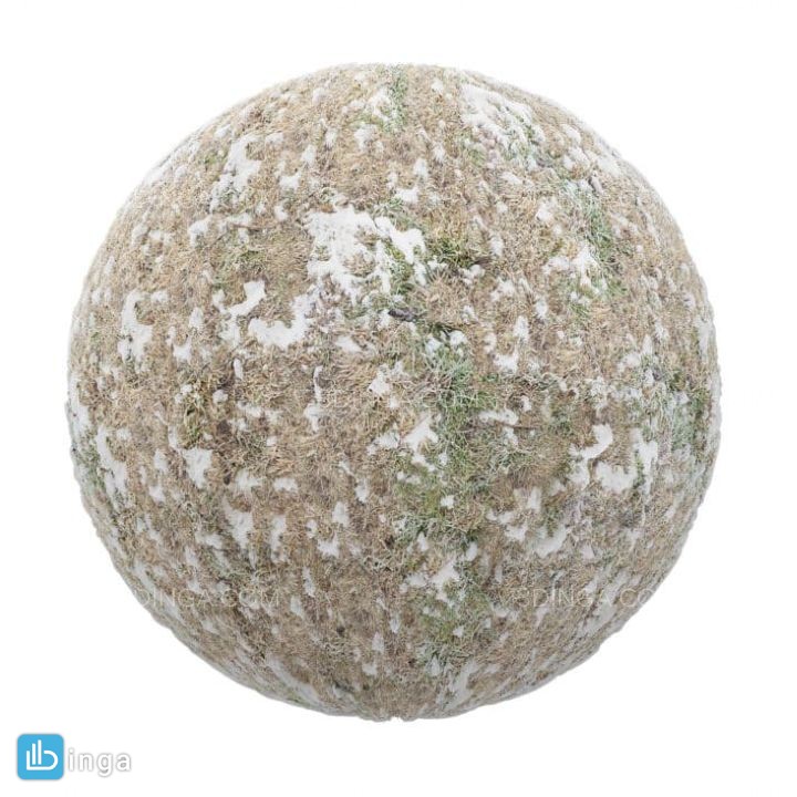 تکسچر چمن یخ زده با برف