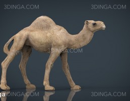 مجسمه شتر