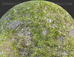 تکسچر صخره خز گرفته