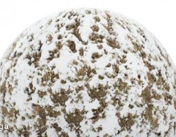 تکسچر چمن پوشیده شده با برف