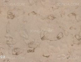 تکسچر شن و ماسه زمینی
