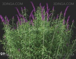 بوته گل طبیعی