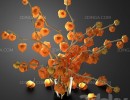 گل فیزالیس + گلدان شیشه ای
