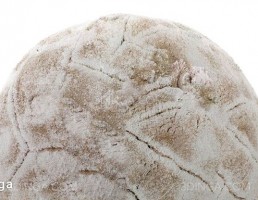 تکسچر خاک ترک خورده خشک