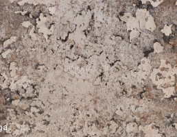 تکسچر رنگ تراش خورده