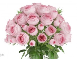 دسته گل رز