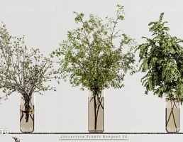 شاخه گیاهان در گلدان شیشه‎ای