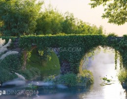 صحنه خارجی از گیاهان گلدار