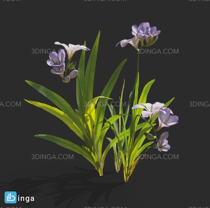گیاهان گلدار باغی