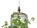 قفسه آویز با گیاهان