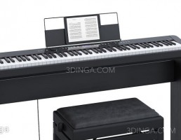 پیانو PX-S3000