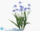 گل های بهاری
