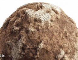 تکسچر سنگ نارنجی فرسوده
