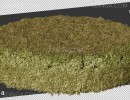 پرسوناژ  گیاهان طبیعی
