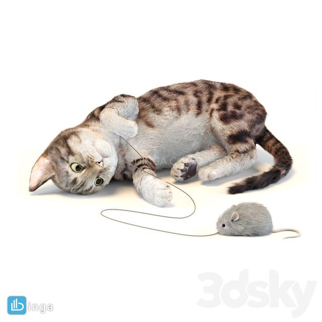 بچه گربه + موش