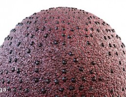 تکسچر پوست قرمز