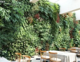 صحنه ایی از گل و گیاهان طبیعی