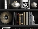 قفسه کتاب + وسایل تزیینی لوکس