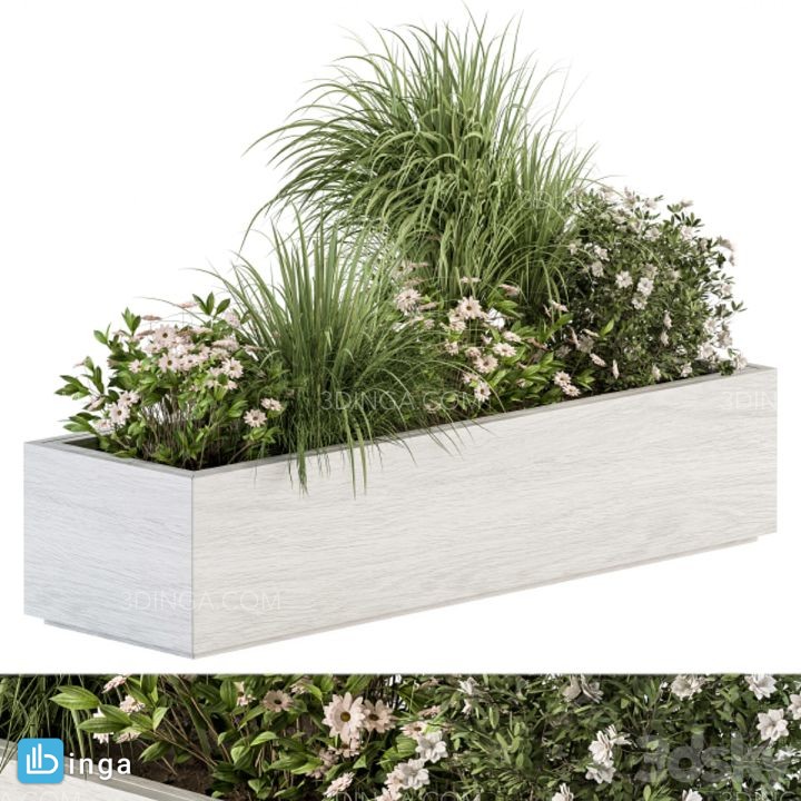 گیاهان + گلدان در فضای باز