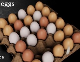 شانه تخم مرغ