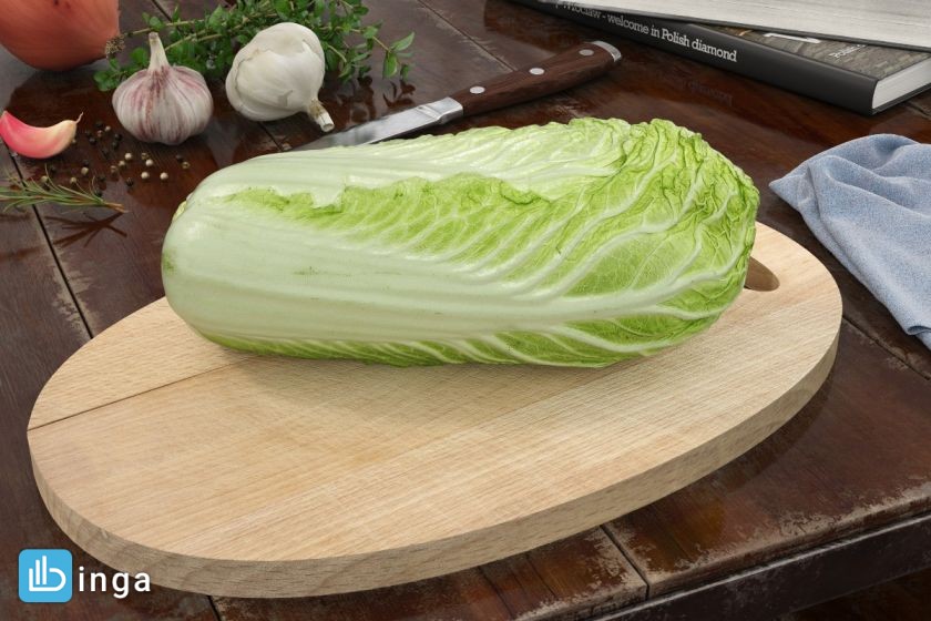 بوته کاهو
