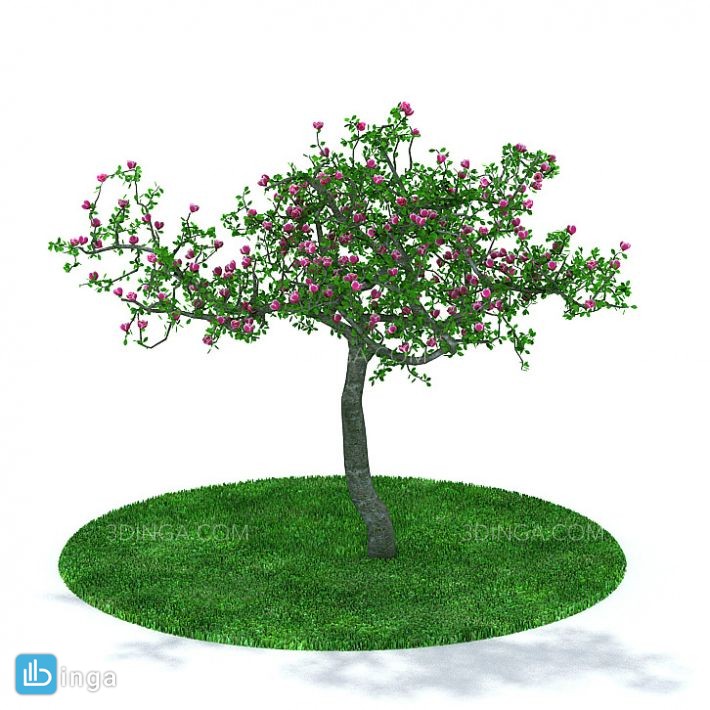 درخت سرسبز بهاری
