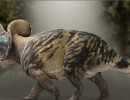 دایناسور xerinsularis