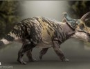 دایناسور xerinsularis