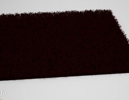 پادری