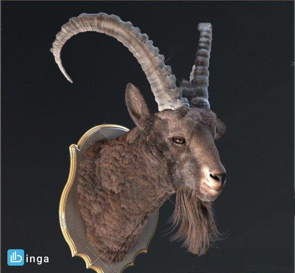 سر بز شاخدار