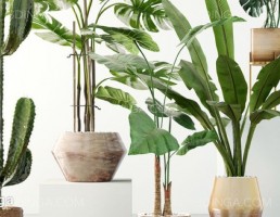 مدل سه بعدی گلدان +گل