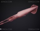 اختاپوس یا هشت پا