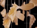 لوستر مدرن طرح ماهی