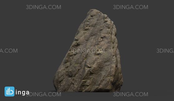 تخته سنگ کویری و جنگلی