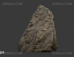 تخته سنگ کویری و جنگلی
