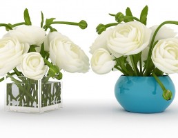 گلدان +گل رز