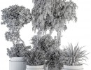 مجموعه گل در گلدان