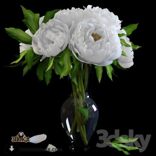 گلدان + گل رز