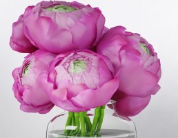 گلدان + گل رز