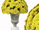 دسته گل داودی در گلدان