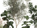 مجموعه گل در گلدان