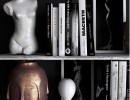 قفسه کتاب + وسایل تزیینی