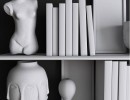 قفسه کتاب + وسایل تزیینی
